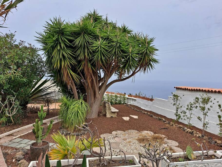 Tenerife Apartment Dulcynea With Terrace And Garden 600M2 With Ocean And Teide View Icod De Los Vinos Eksteriør billede