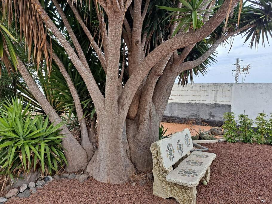 Tenerife Apartment Dulcynea With Terrace And Garden 600M2 With Ocean And Teide View Icod De Los Vinos Eksteriør billede
