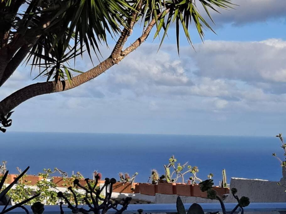 Tenerife Apartment Dulcynea With Terrace And Garden 600M2 With Ocean And Teide View Icod De Los Vinos Eksteriør billede